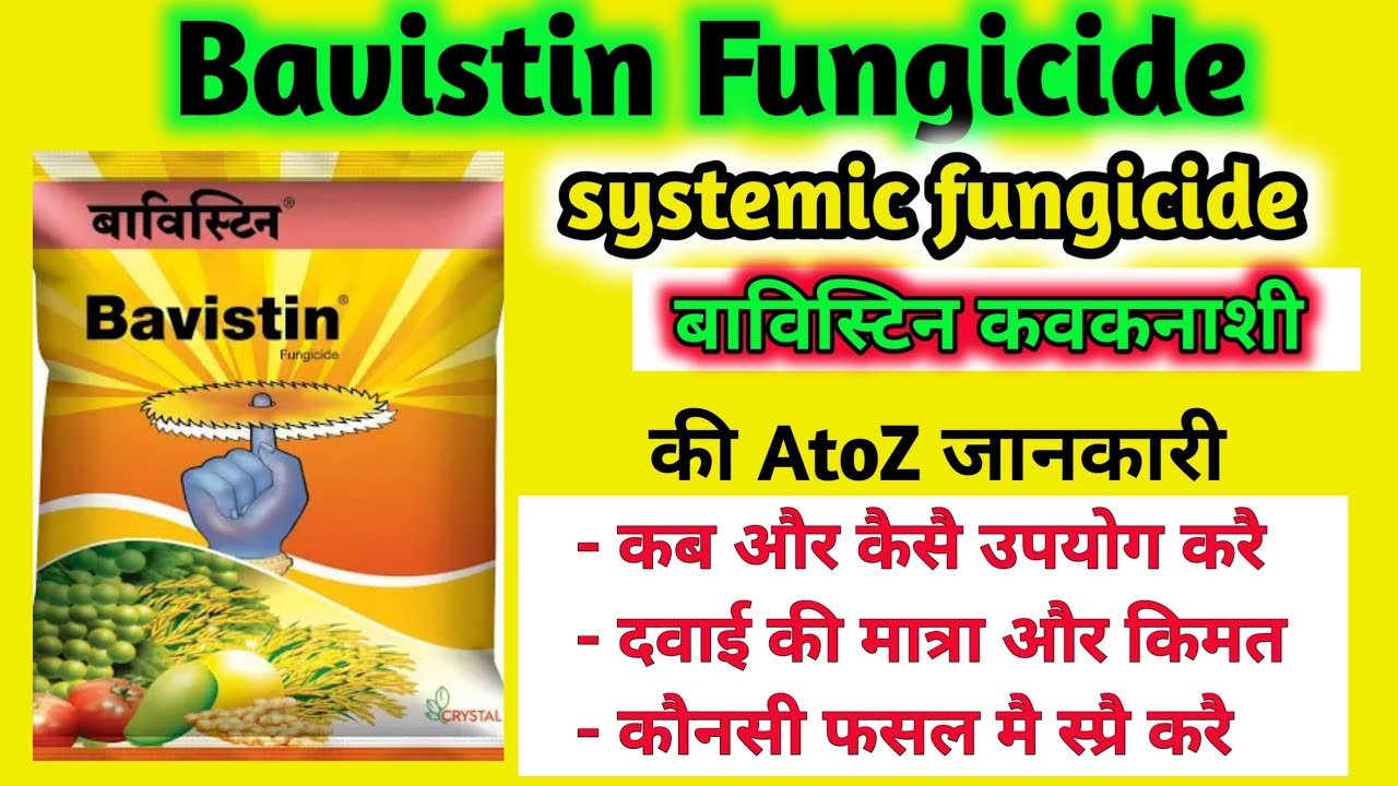 Bavistin Fungicide Uses in Hindi | बाविस्टिन फंगाइसाइड का उपयोग कैसे करें