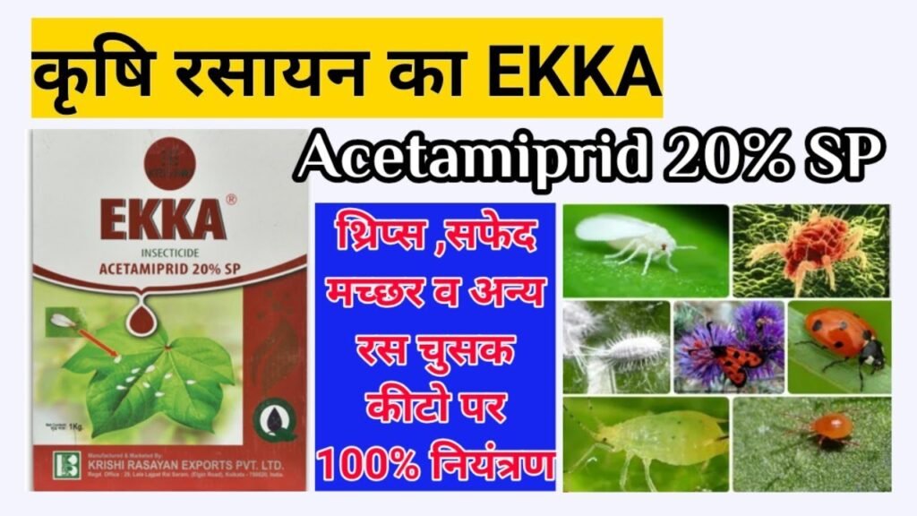 Acetamiprid 20 sp Uses in Hindi | price | Dose | एसिटामिप्रिड 20% एसपी का उपयोग कैसे करें 