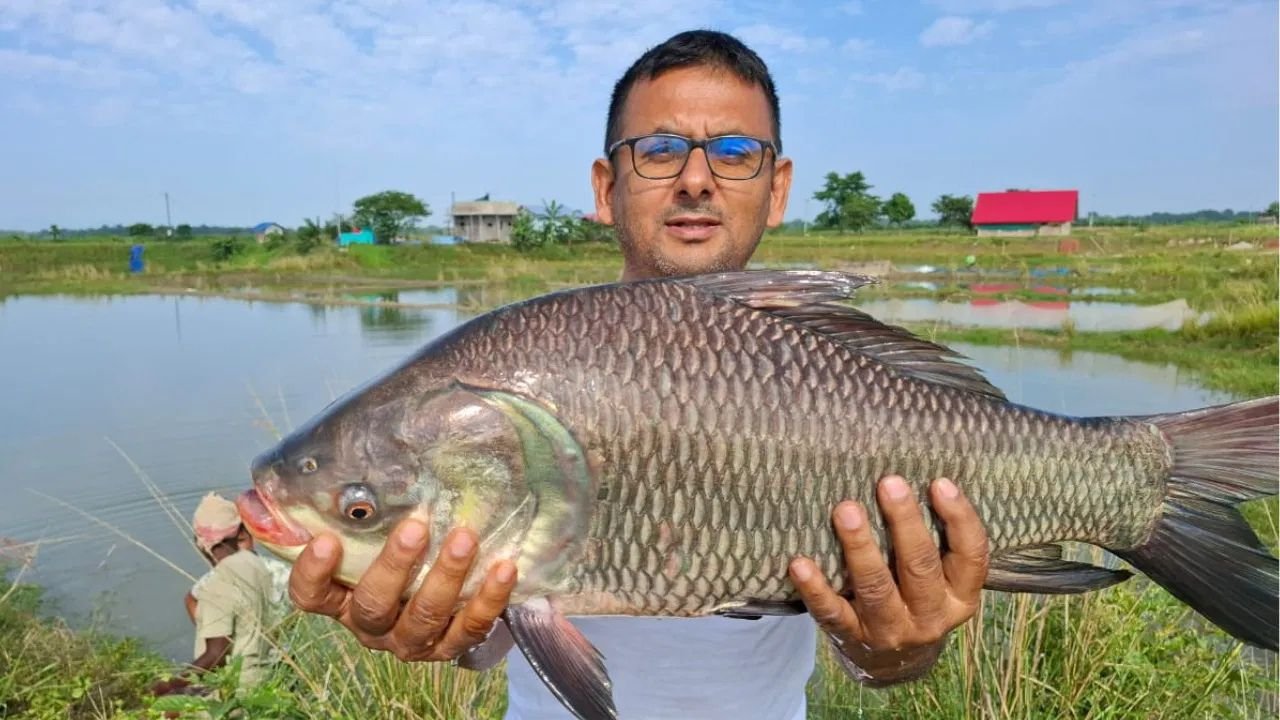 भारत बना मछली उत्पादन में महाशक्ति, असम के किसान अनूप शर्मा की कहानी बदल देगी सोच
