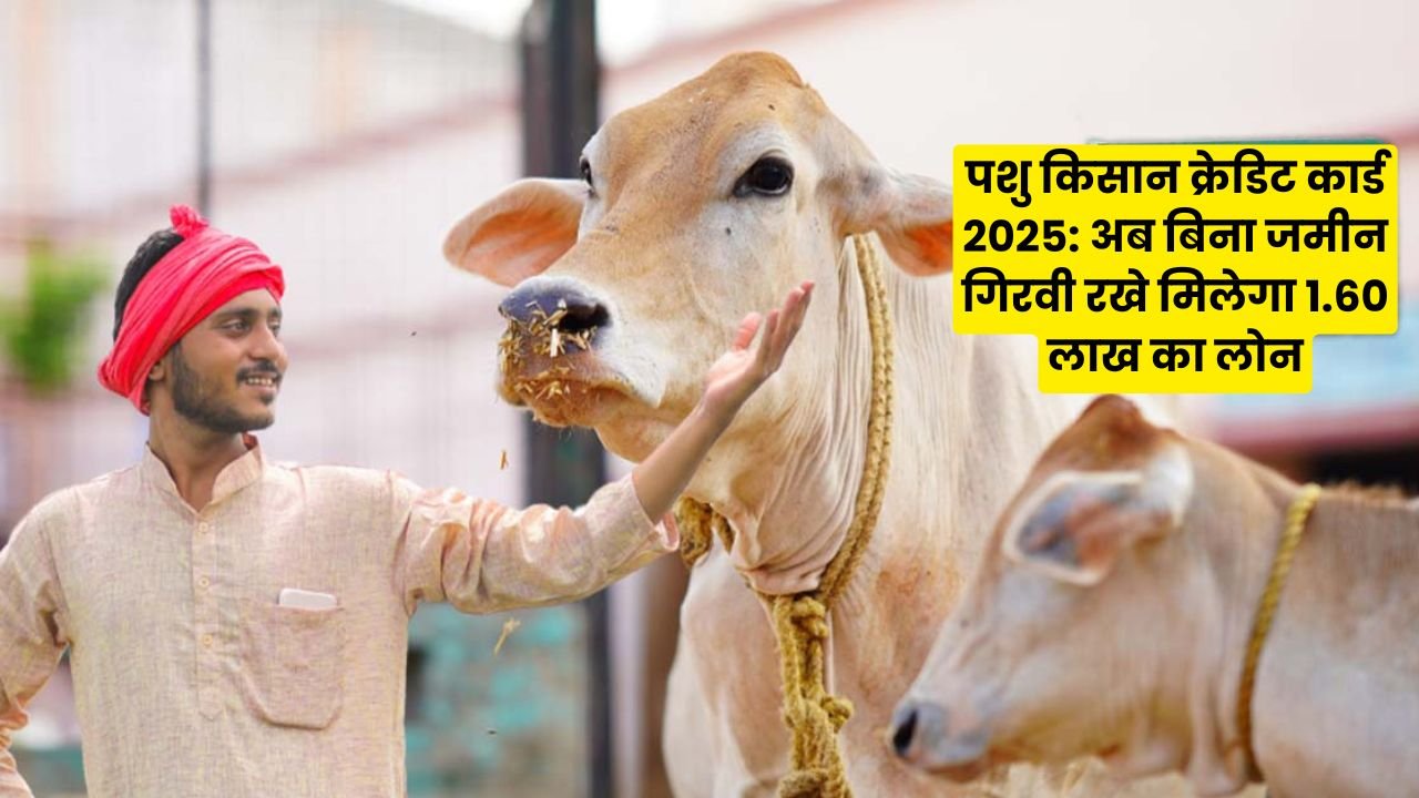 पशु किसान क्रेडिट कार्ड 2025: अब बिना जमीन गिरवी रखे मिलेगा 1.60 लाख का लोन, जानिए ऑनलाइन आवेदन का आसान तरीका