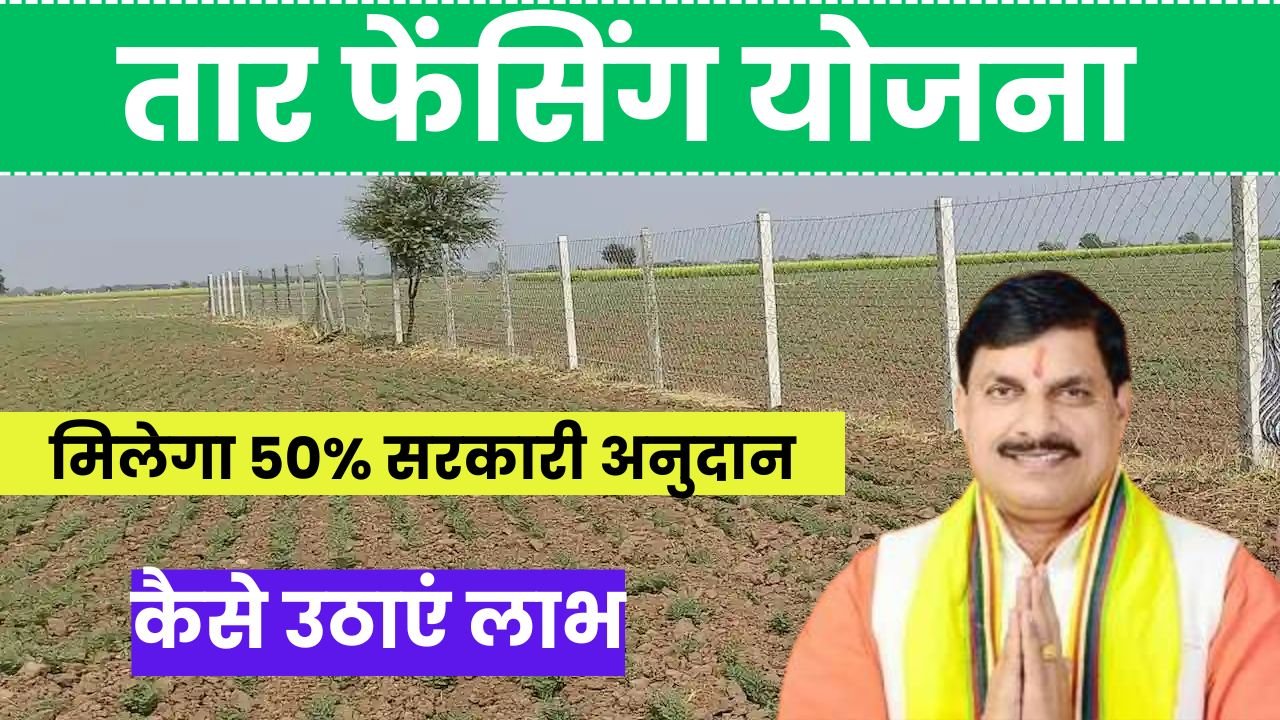 तार फेंसिंग योजना 2025: अब खेत की सुरक्षा पर मिलेगा 50% सरकारी अनुदान, जानिए कैसे उठाएं लाभ